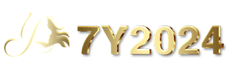 7y2024 logo